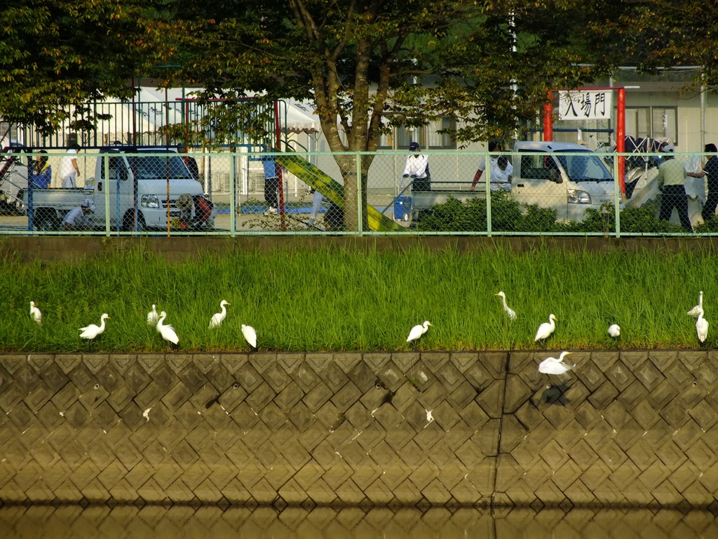 もうすぐ運動会