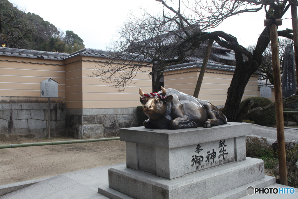 もう大変