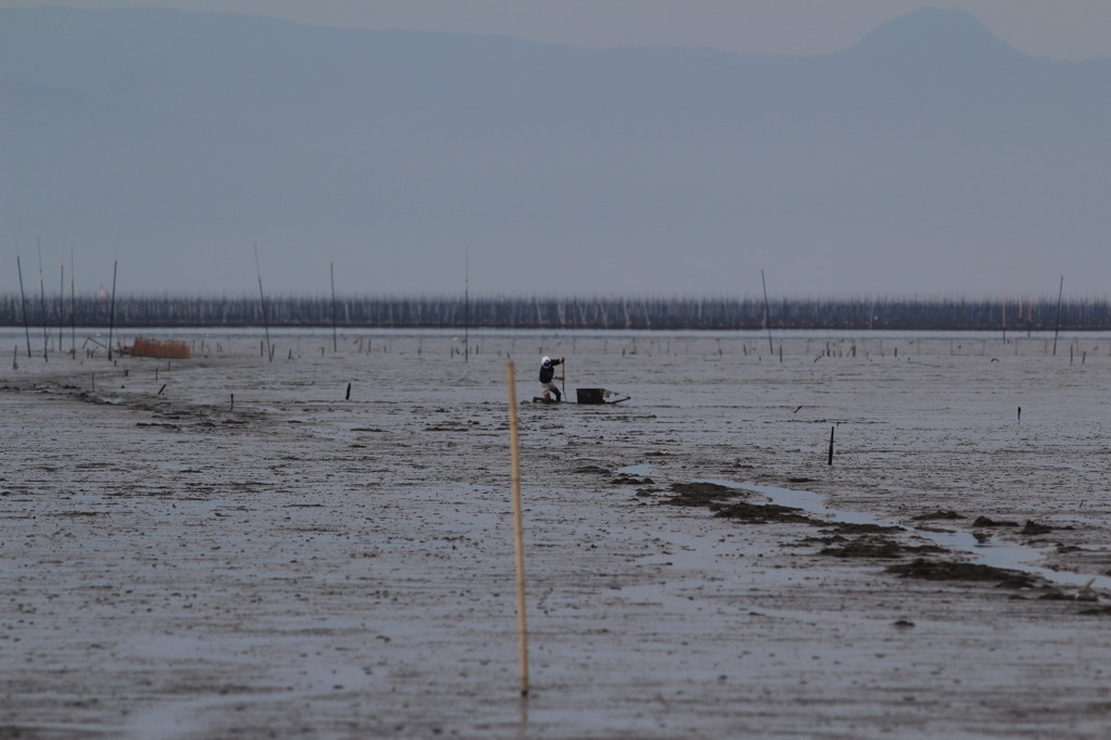 わらすぼハンター