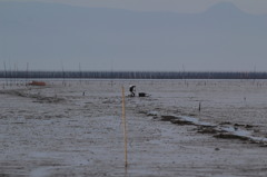 わらすぼハンター