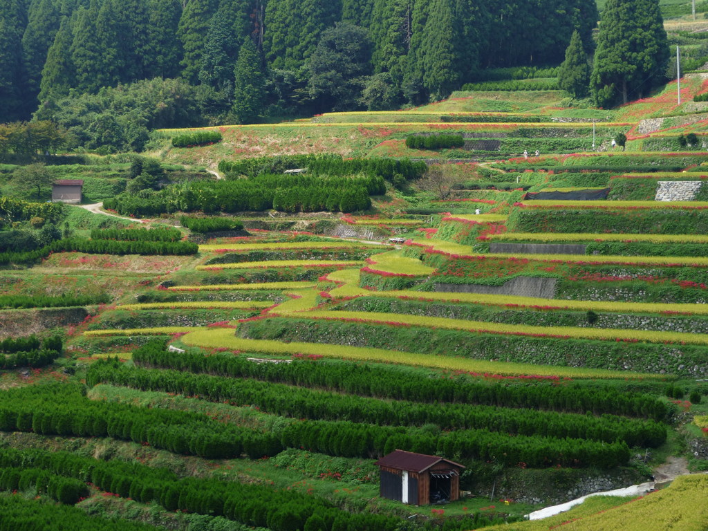 こんなとこです