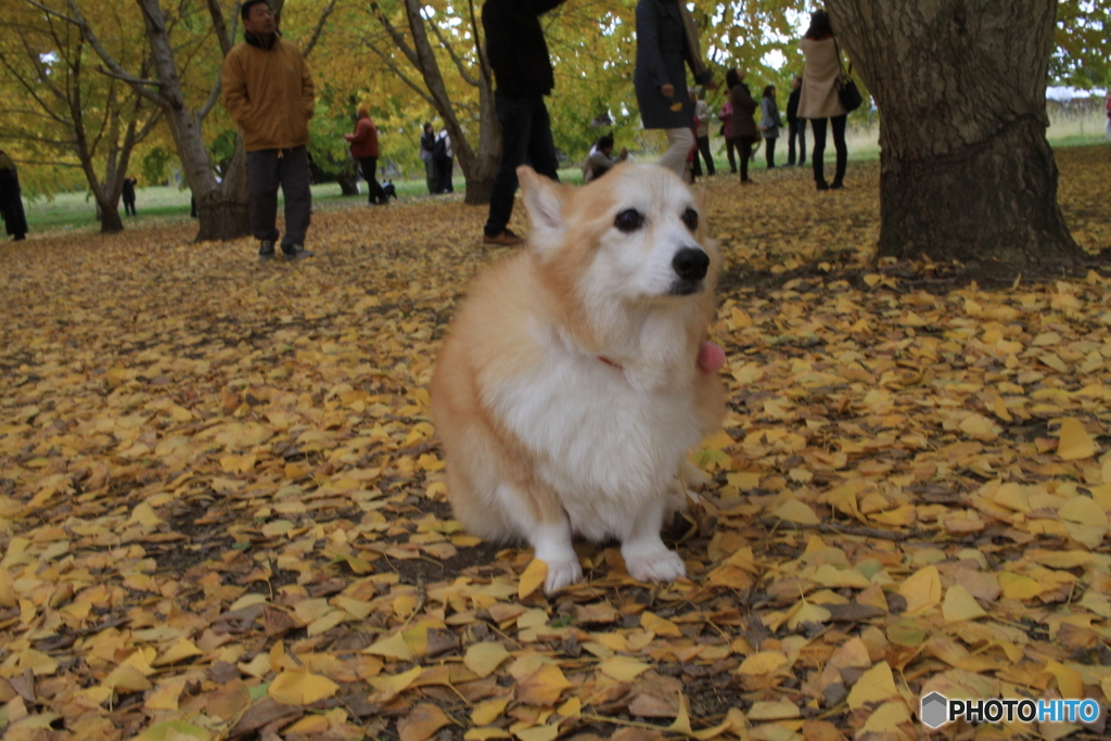寒いよ、帰ろう