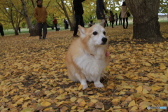 寒いよ、帰ろう