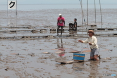 ムツゴロウ釣り名人