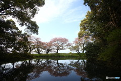 く