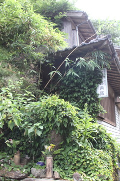 荒れてきましたね