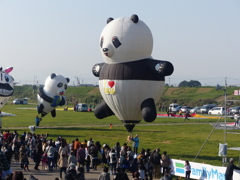 ドイツから来た子も