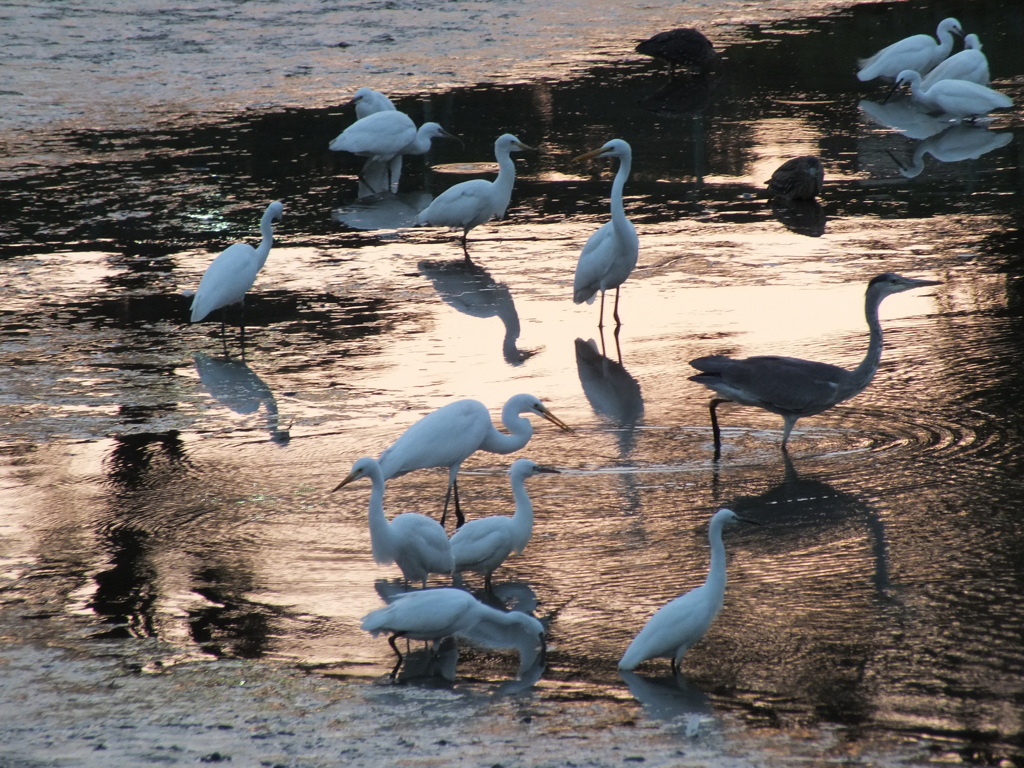 水がなくなるとき