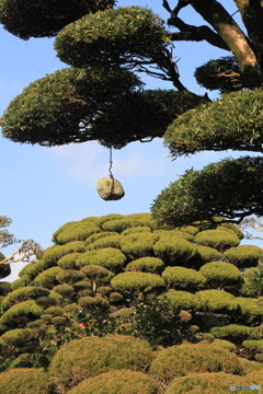 意志は強くもって