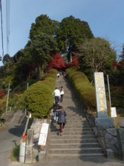 これを上ると、