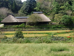 今は閉鎖中でした