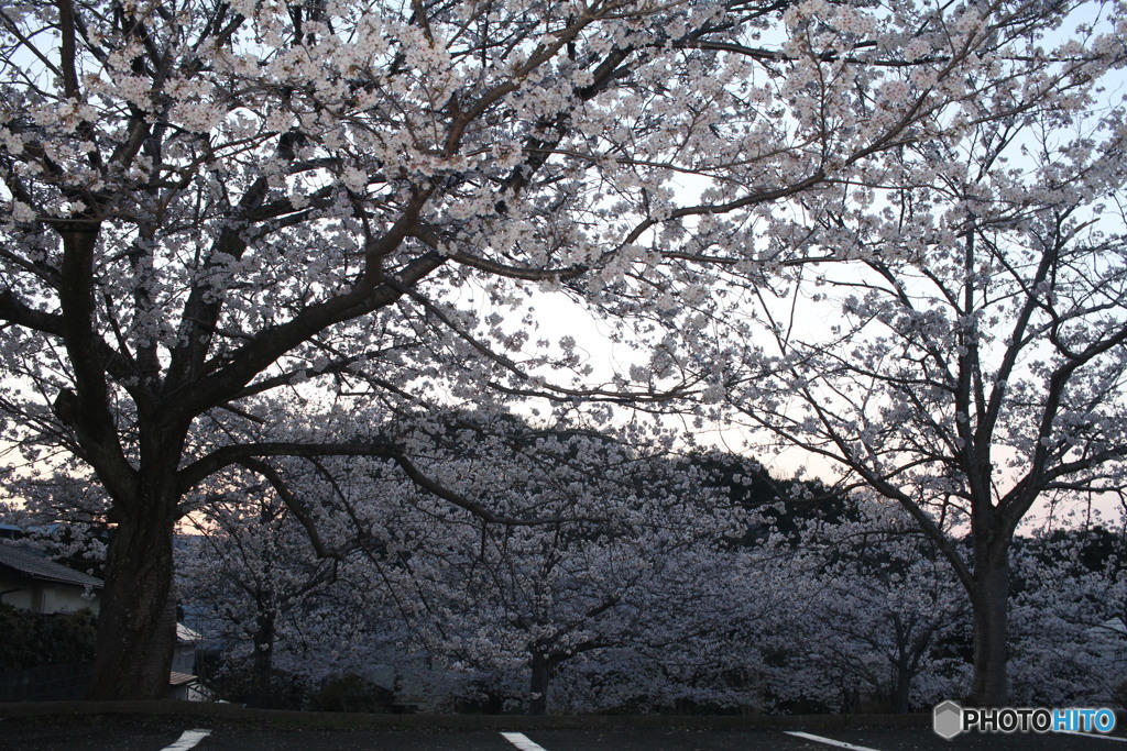 観光地行かなくても