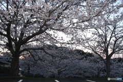 観光地行かなくても