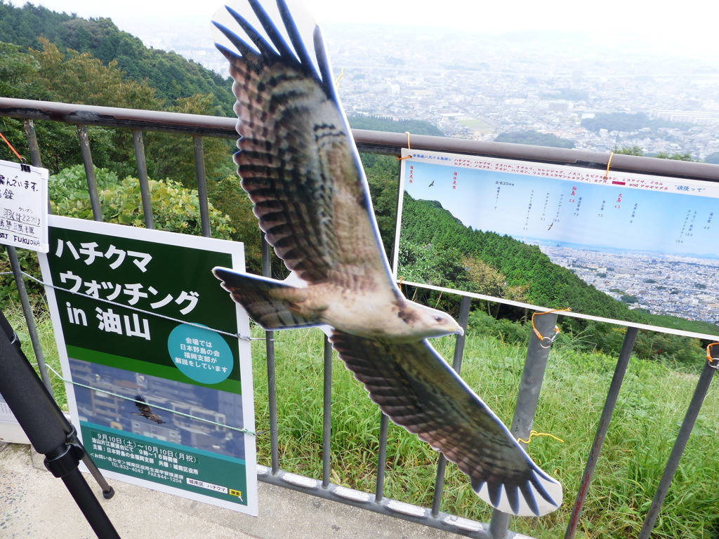 昨日の天気なら