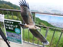 昨日の天気なら