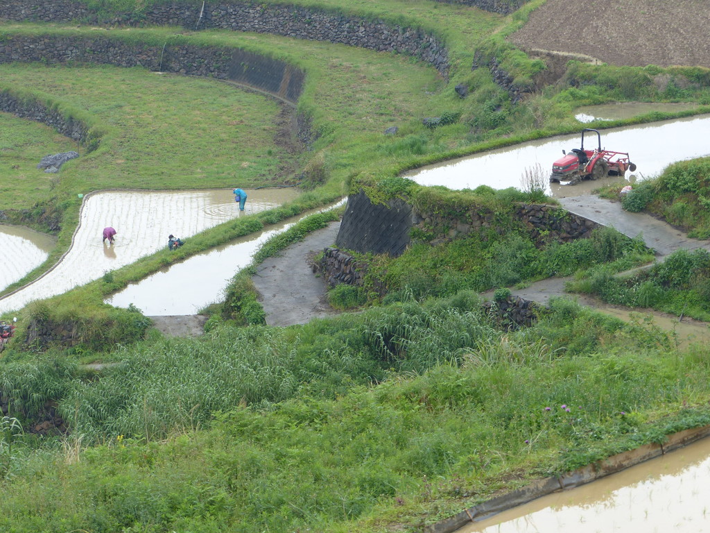 棚田は
