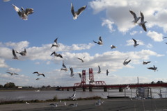 かもめが飛んだ