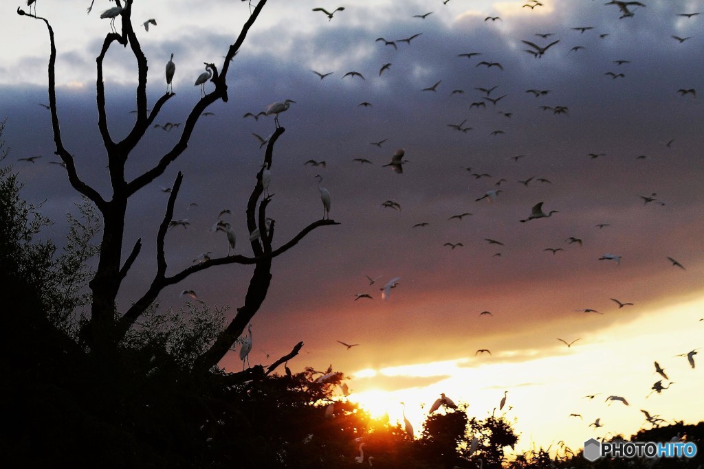 これは以前の分ですが