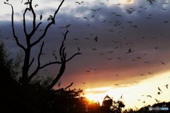 これは以前の分ですが