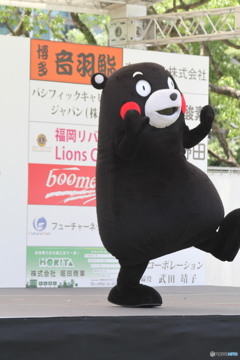 大関がんばれ
