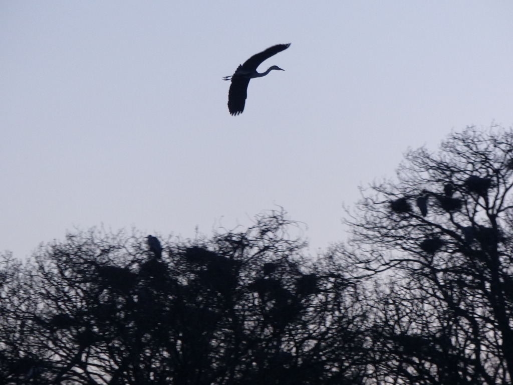 かっこいいでしょ