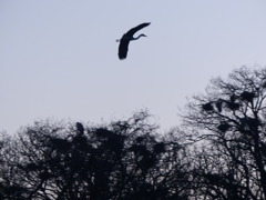 かっこいいでしょ