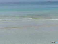 浅かとよ
