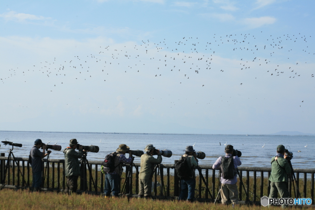2018が見えますか
