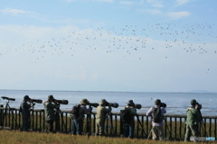2018が見えますか