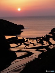 浜野浦行ってきました