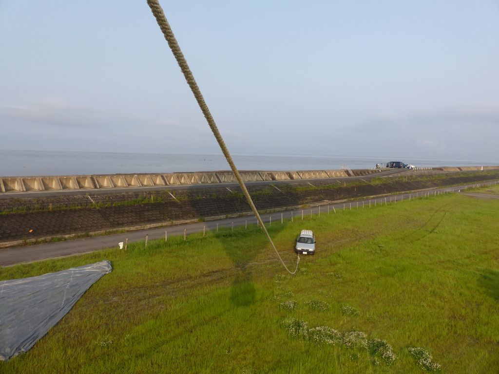 クロツラいるかな