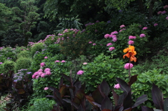 こんなとこですよ