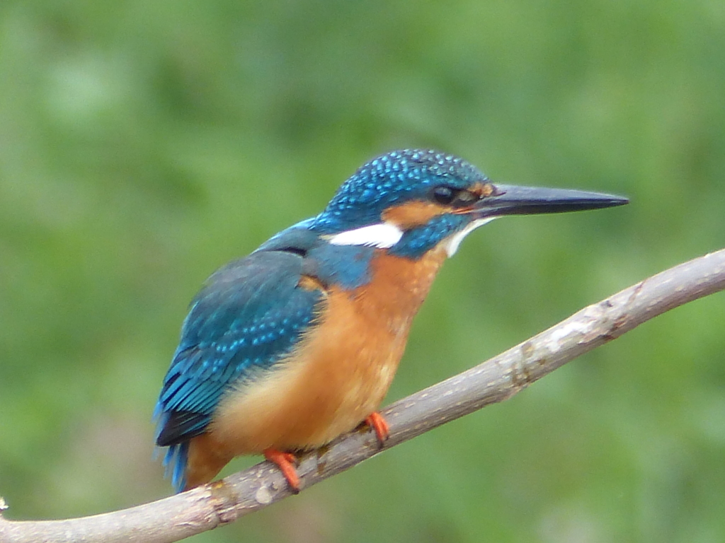 きれいに写してね