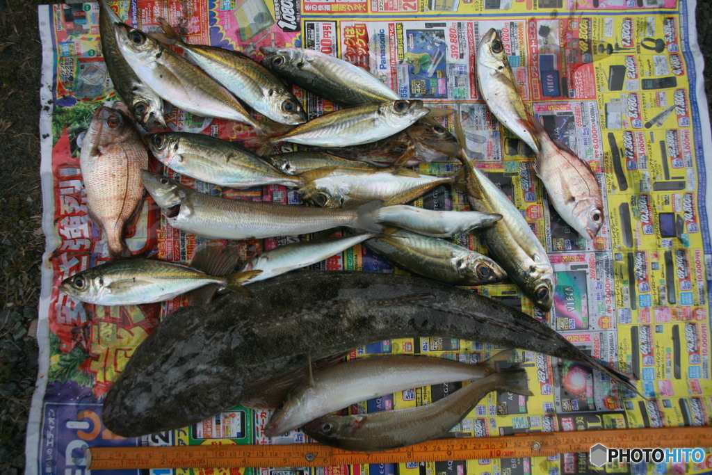 キス狙いでしたが