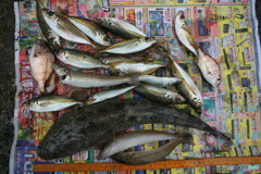 キス狙いでしたが