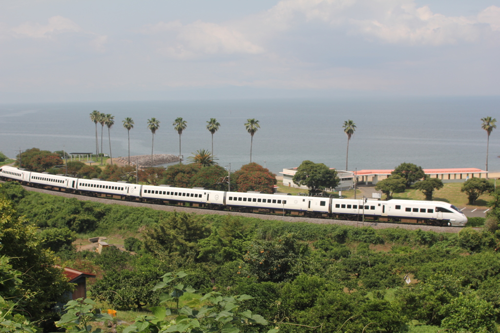 白いかもめよ♪