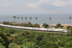 白いかもめよ♪