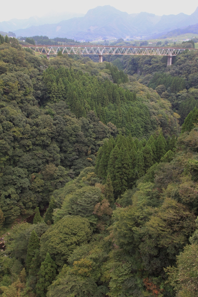 ここで停まります