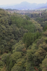 ここで停まります