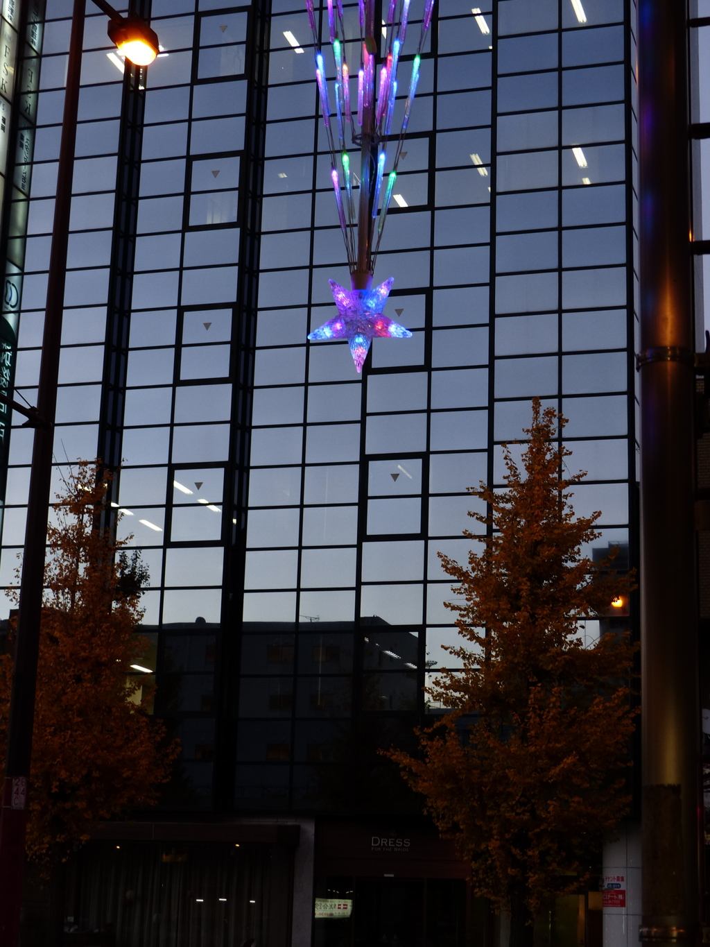 散るのは１２月