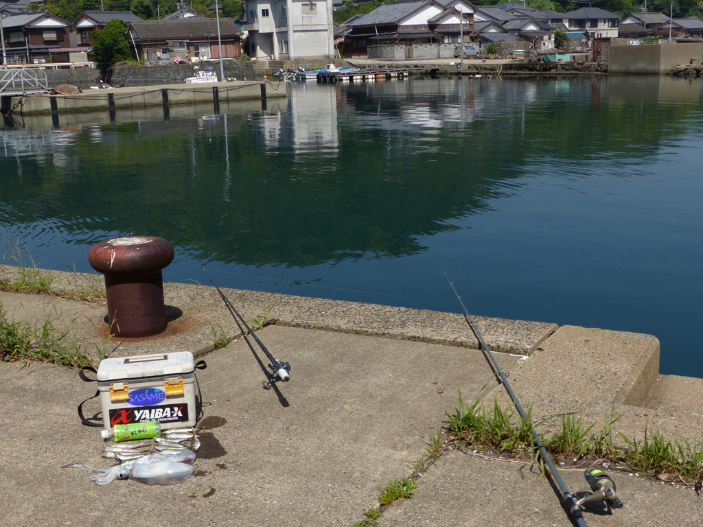 きれいなとこでしょ