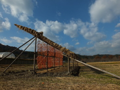 いっぱい干しますよ