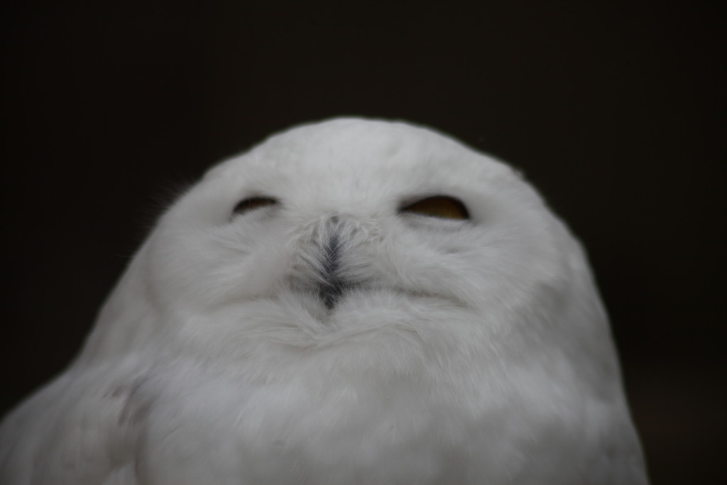 待ってます