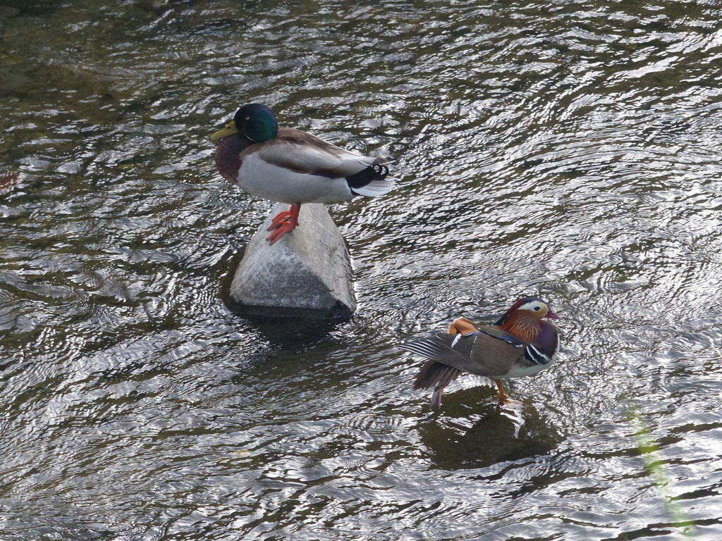 こっちむいてよ