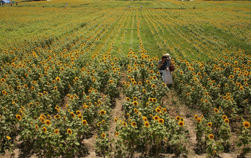 もう少し背が伸びますね