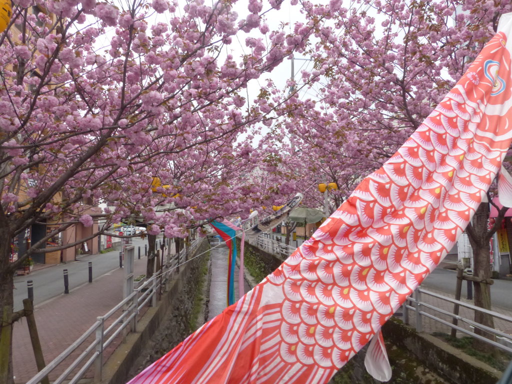 お客さんいるかな