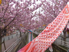 お客さんいるかな