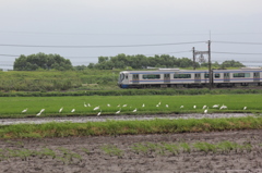 手を振らなきゃ