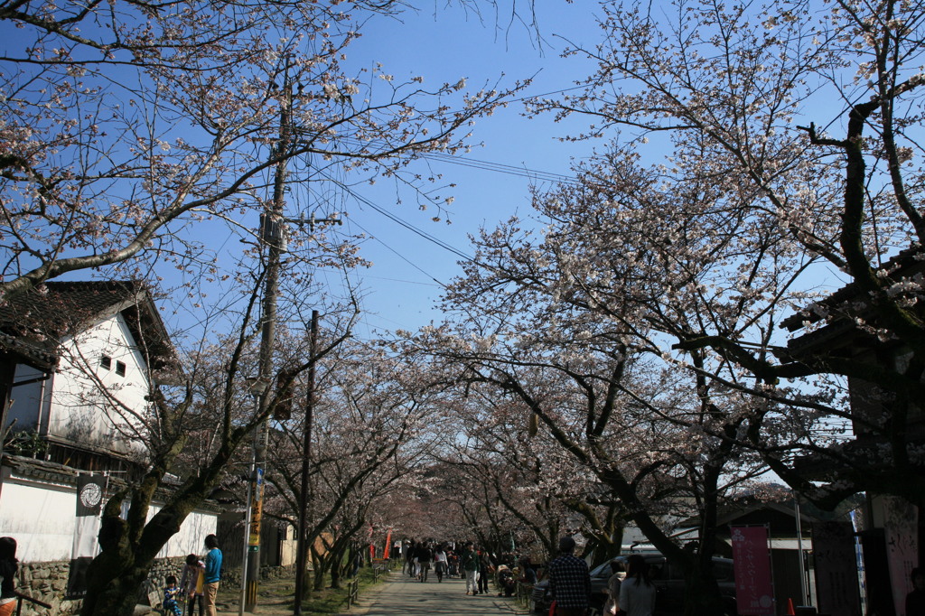 さくらは城がにあいますね