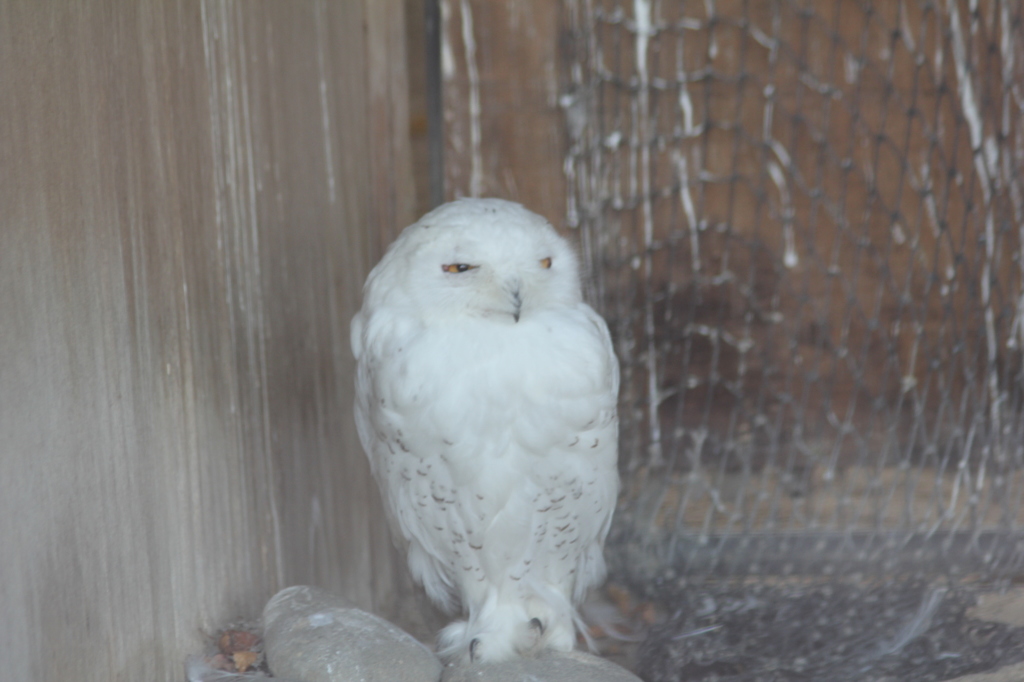 こちらは笑ってます